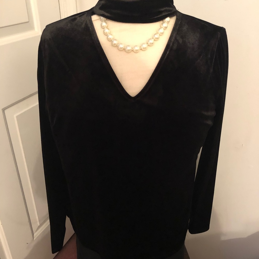 Tahari crushes velvet blouse